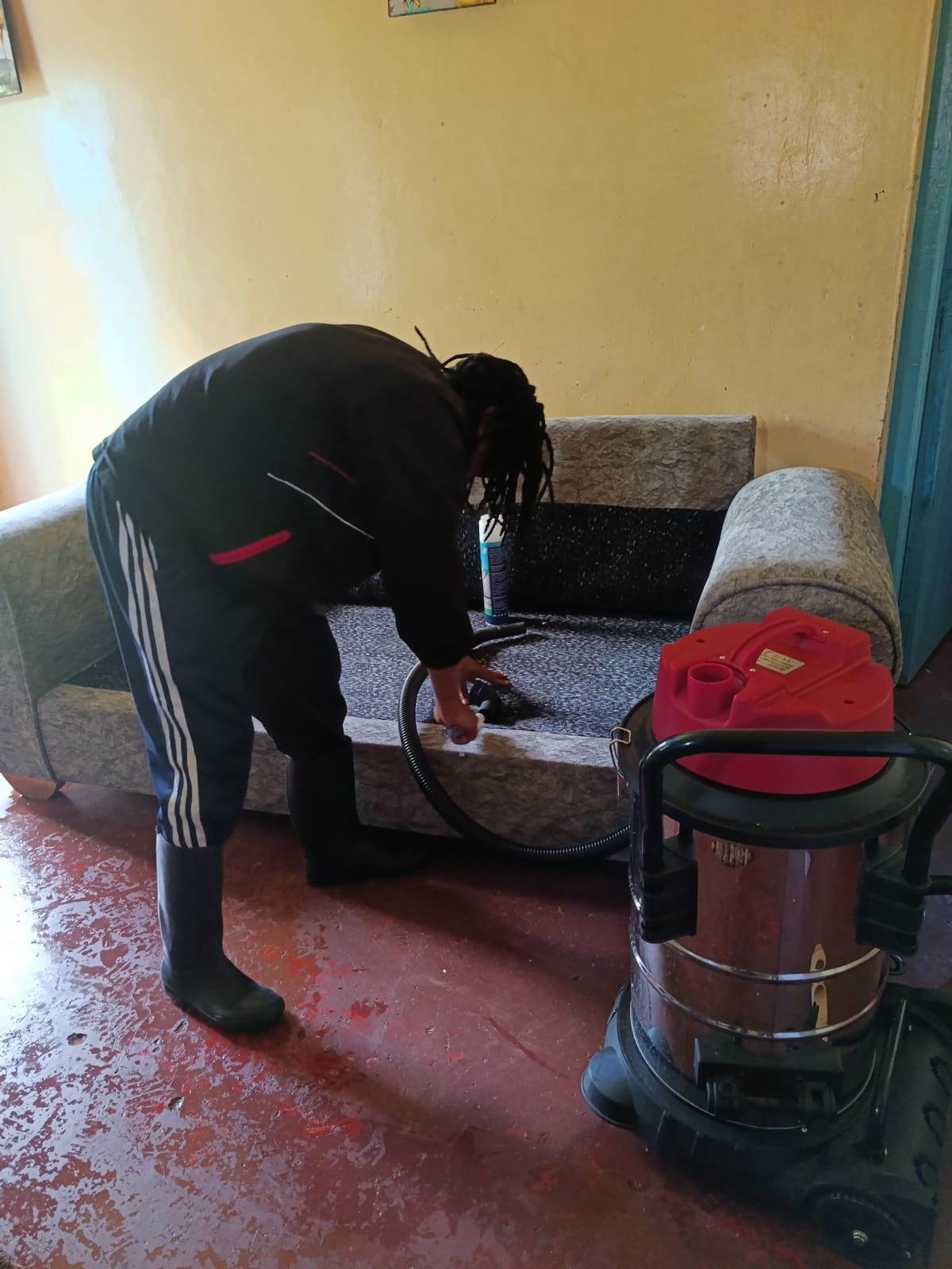Executive Sofa Cleaning