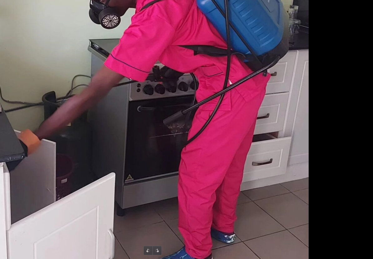 Fumigation Services